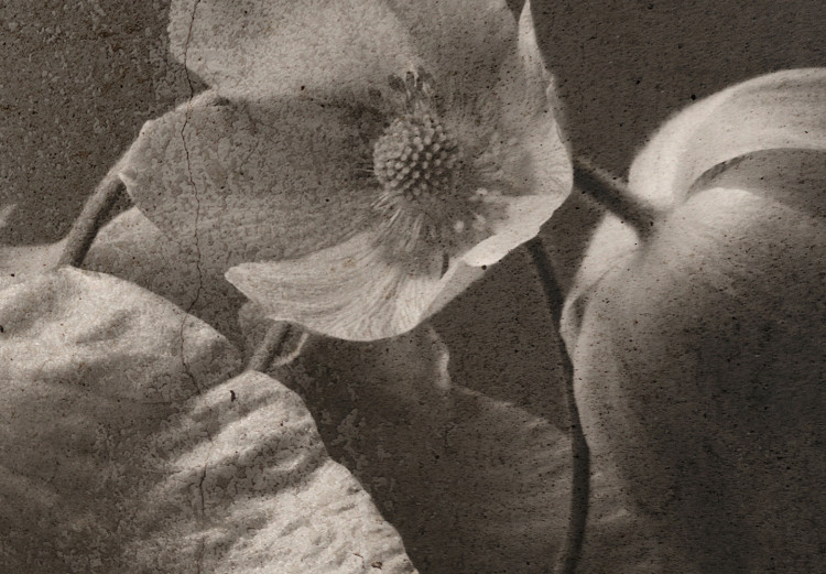 Fototapete Minimalistische Blume - Blumenmotiv mit Textur im Vintage-Stil 137246 additionalImage 4