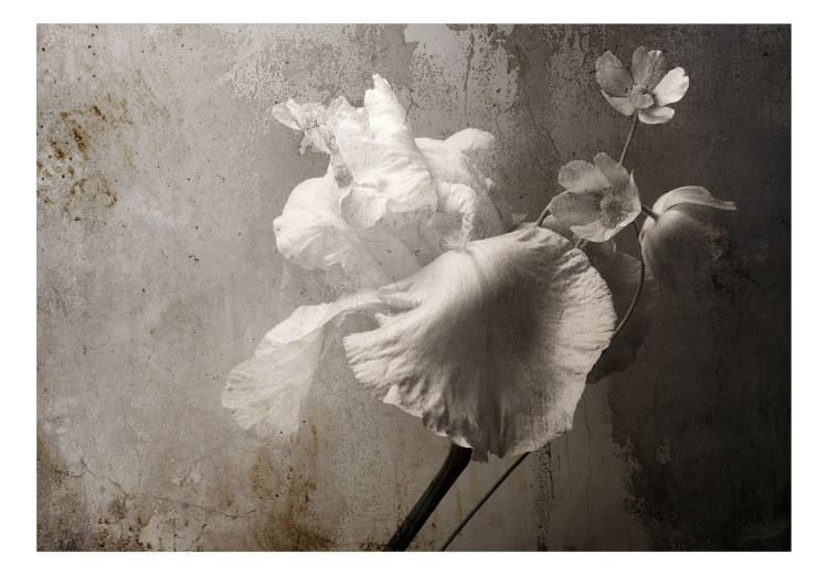 Fototapete Minimalistische Blume - Blumenmotiv mit Textur im Vintage-Stil 137246 additionalImage 1