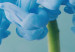 Wandbild Abstract Flower - Pink and Blue Floristic Motif 149846 additionalThumb 5