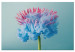 Wandbild Abstract Flower - Pink and Blue Floristic Motif 149846