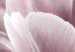 Bild auf Leinwand Tulpennatur (1-teilig) - Rosa Tulpenblüte im Frühling 117156 additionalThumb 5