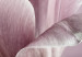 Bild auf Leinwand Tulpennatur (1-teilig) - Rosa Tulpenblüte im Frühling 117156 additionalThumb 4