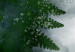 Wandbild Farn im Nebel - Blätter in einer kühlen Nebelwolke, grün und grau 134456 additionalThumb 5