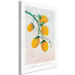 Wandbild Zitrusfrüchte - Zeichnung eines Zitronenbaumzweigs 135156 additionalThumb 2