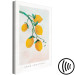 Wandbild Zitrusfrüchte - Zeichnung eines Zitronenbaumzweigs 135156 additionalThumb 6
