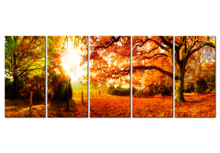 Wandbild Enchanting Autumn 98566