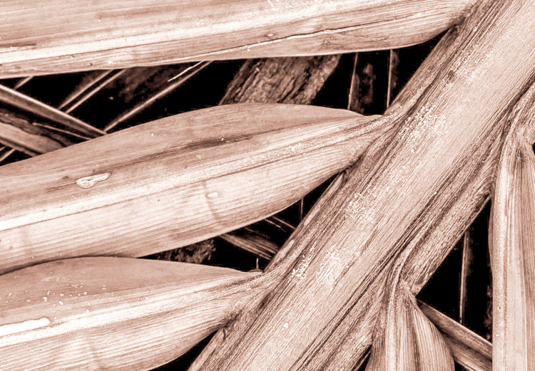 Wandbild Trockene Palme - getrockneter Palmblatt unter einem scharfen Winkel 135276 additionalImage 4