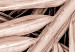 Wandbild Trockene Palme - getrockneter Palmblatt unter einem scharfen Winkel 135276 additionalThumb 4