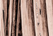 Wandbild Trockene Palme - getrockneter Palmblatt unter einem scharfen Winkel 135276 additionalThumb 5