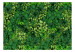 Fototapete Dichte der Exotik - ein vertikaler Garten mit einer Vielzahl exotischer Pflanzen, ein Hauch von Grün, perfekt für ein modernes Wohnzimmer 135676 additionalThumb 1