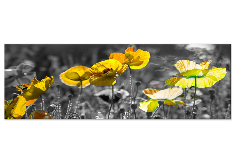 Bild Yellow Poppies (1 Part) Narrow 149986