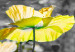 Bild Yellow Poppies (1 Part) Narrow 149986 additionalThumb 4