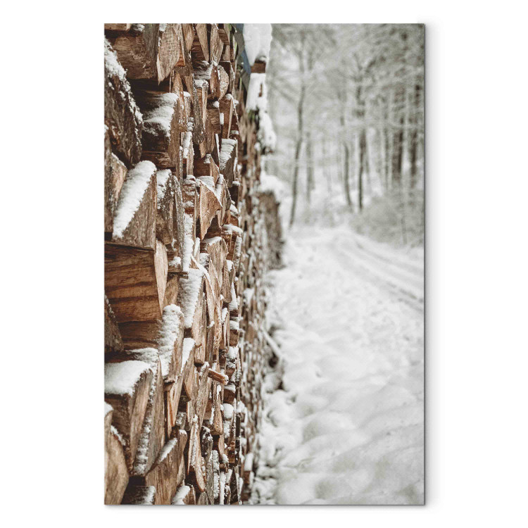 Bild auf Leinwand Winter Forest - Photo of a Pile of Wood on a Snowy Forest Road 151686