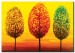 Wandbild Vier Jahreszeiten-Bäume 49837