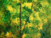 Wandbild Vier Jahreszeiten-Bäume 49837 additionalThumb 4
