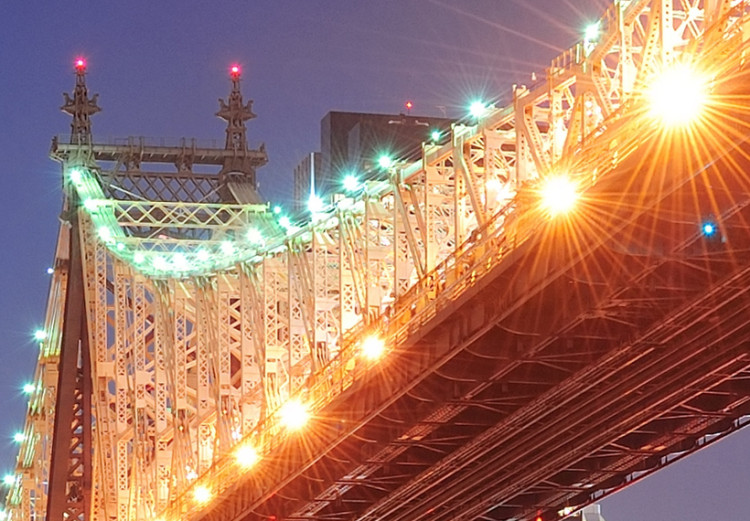 Bild auf Leinwand Leuchtende Brücke, Brooklyn - NY 58337 additionalImage 5
