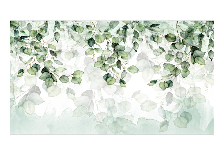 Fototapete Decorative Leaves - A Floral Motif in Light Greens on a White Background 146447 additionalImage 1