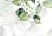 Fototapete Decorative Leaves - A Floral Motif in Light Greens on a White Background 146447 additionalThumb 3