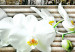 Wandbild Zen: orchid in gold 55747 additionalThumb 4