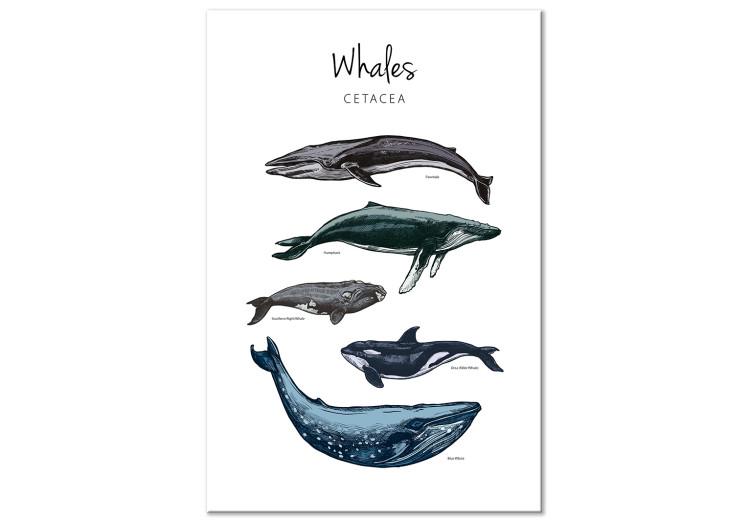Leinwandbild Whales (1 Part) Vertical 126857