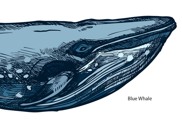 Leinwandbild Whales (1 Part) Vertical 126857 additionalImage 5