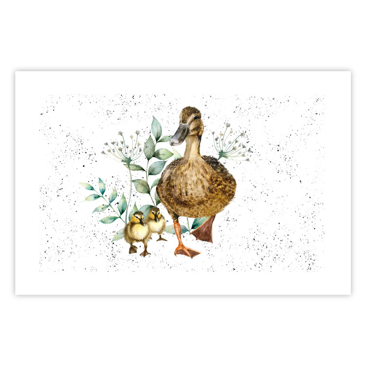 Wandposter The Family of Ducks - Cute Painted Animals and Plants on the Background With Splashes 145757 additionalImage 18