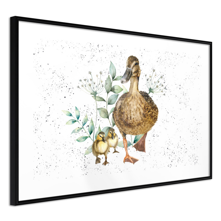 Wandposter The Family of Ducks - Cute Painted Animals and Plants on the Background With Splashes 145757 additionalImage 6