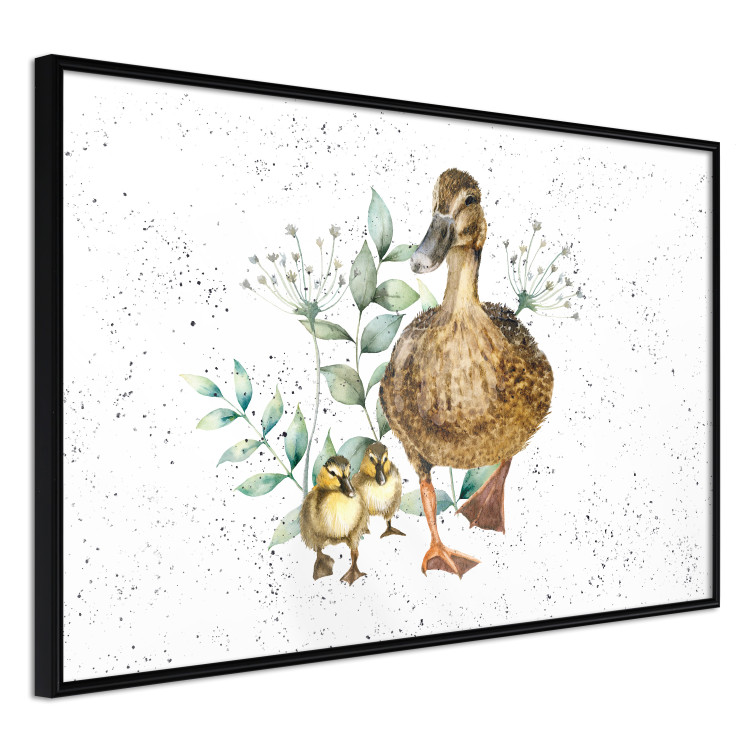 Wandposter The Family of Ducks - Cute Painted Animals and Plants on the Background With Splashes 145757 additionalImage 4