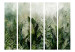 Raumteiler In the Morning Dew - A Landscape of Leaves on a Green Background II [Room Dividers] 150957 additionalThumb 3