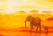 Leinwandbild Wüste im Sonnenuntergang  49457 additionalThumb 3