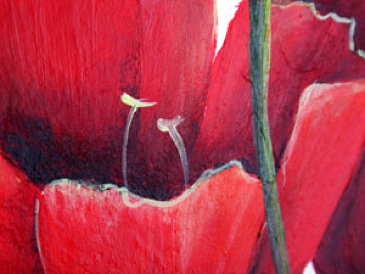Leinwandbild Fröhliche Tulpen (1-tlg.) - rote Blumen Hintergrund pastell 48667 additionalImage 2