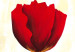 Bild auf Leinwand Rote Tulpen (3-tlg.) - Blumenkomposition heller Hintergrund 48677 additionalThumb 3