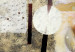 Bild auf Leinwand Die Mitte – Eine abstrakte Komposition einer braunen Kugel auf grauem Hintergrund mit orangen und braunen Elementen 47587 additionalThumb 4