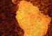 Leinwandbild Weltkarte - Heiße Lava 50097 additionalThumb 5