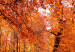 Leinwandbild Autumn Park (1 Part) Wide 124008 additionalThumb 4