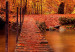 Leinwandbild Autumn Park (1 Part) Wide 124008 additionalThumb 5