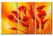 Bild auf Leinwand Callas in Orange  48818