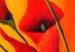 Bild auf Leinwand Callas in Orange  48818 additionalThumb 4