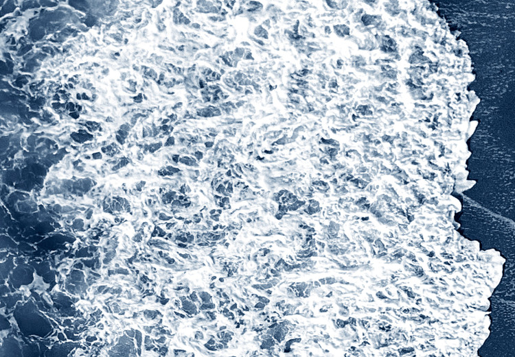 Leinwandbild Kraft des Meeres - Wellen am Sandstrand aus der Vogelperspektive 117238 additionalImage 4