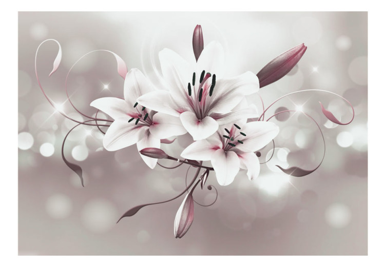 Fototapete Weiße Blumen auf grauem Hintergrund - Lilien mit Lichtglanz 64638 additionalImage 1