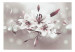 Fototapete Weiße Blumen auf grauem Hintergrund - Lilien mit Lichtglanz 64638 additionalThumb 1