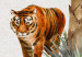 Wandbild XXL Exotic Landscape - Jungle With Animals and Exotic Birds [Large Format] 151248 additionalThumb 3