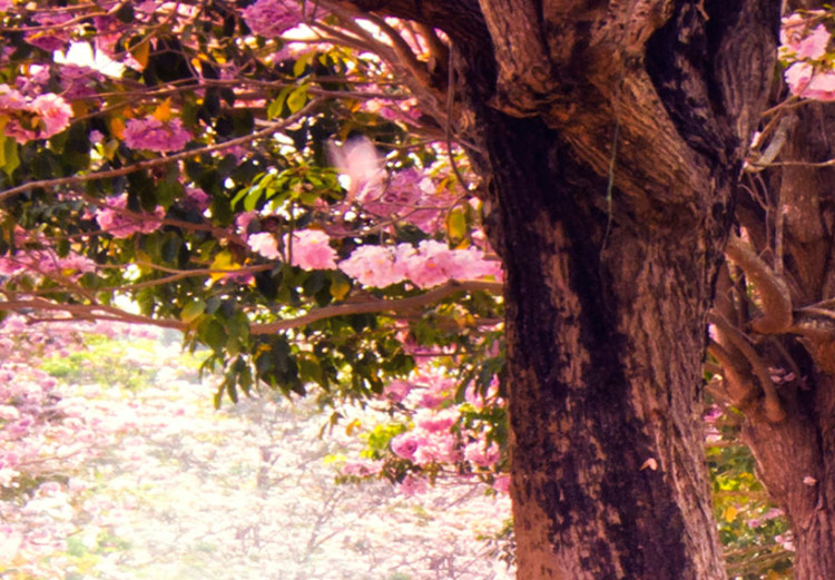Wandbild XXL Fuchsia Garden III [Large Format] 151858 additionalImage 3