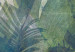 Fototapete Bananenplantage im Dschungel - Exotisches Pflanzenmotiv mit Blättern 135568 additionalThumb 4