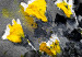 Bild auf Leinwand Bouquet of Colours (1 Part) Vertical Yellow 123078 additionalThumb 5