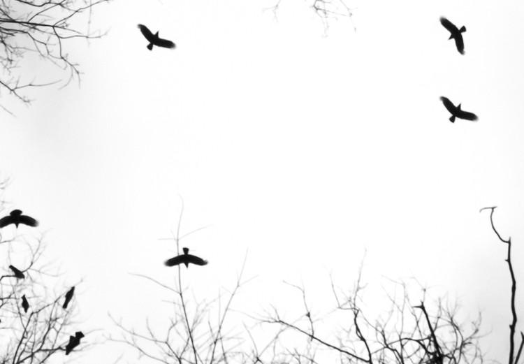 Bild auf Leinwand Himmel der Wintervögel (1-teilig) - Schwarz-weiße Landschaftsnatur 114898 additionalImage 4