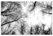 Bild auf Leinwand Himmel der Wintervögel (1-teilig) - Schwarz-weiße Landschaftsnatur 114898