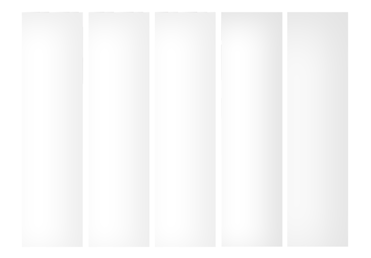 Trennwand Solid White II [Room Dividers] 150798 additionalImage 3