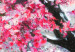 Wandbild Blossoming Cherry - Japanese Motif Against the Background of a Landscape With a Mountain and the Moon 147709 additionalThumb 4
