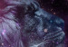 Leinwandbild Löwe am sternenklaren Himmel - moderne Abstraktion in dunklen Tönen 134219 additionalThumb 5